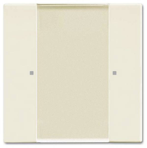 Busch-Jaeger       2CKA006730A0080  1 ks