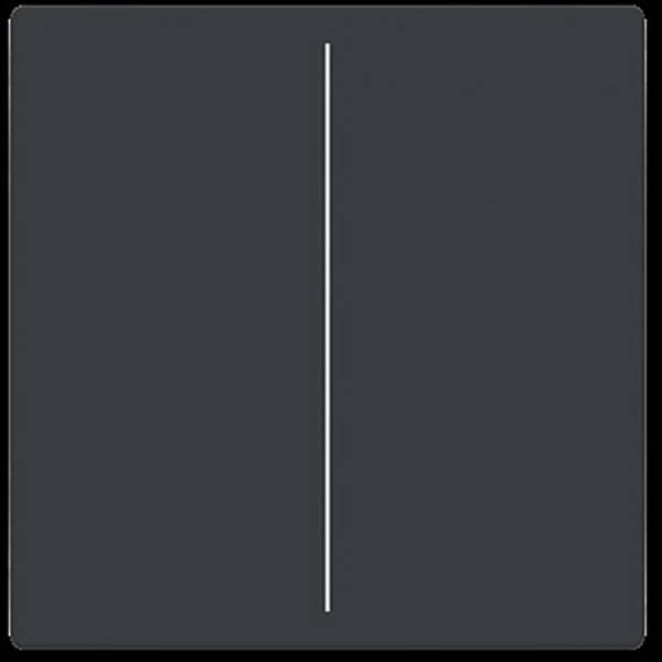 Busch-Jaeger  kryt   Future Linear  2CKA006199A0050  1 ks
