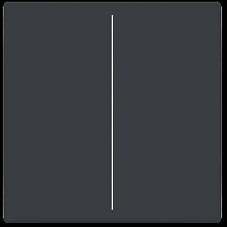 Busch-Jaeger kryt Future Linear 2CKA006199A0050 1 ks-0