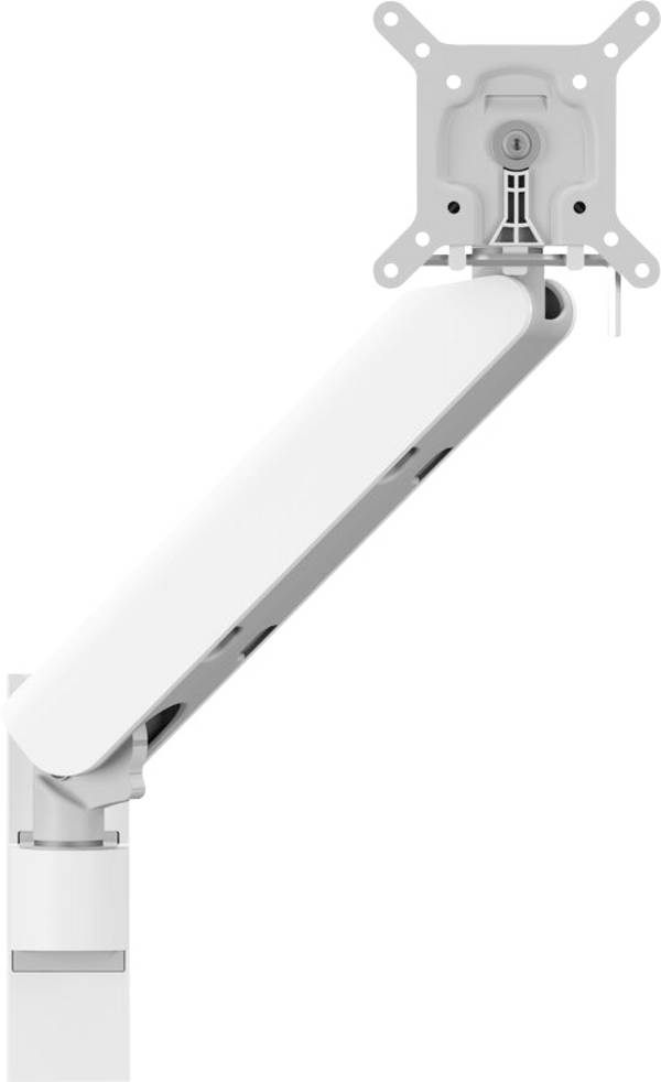 <br>  Vogel's<br>  MOMO 4126<br>  <br>  držák na zeď pro monitor<br>  1 Displej: (s)<br>  25,4 cm (10") - 109,2 cm (43")<br>  bílá<br>  nastavitelná výška, naklápěcí, otočný, nakláněcí<br>