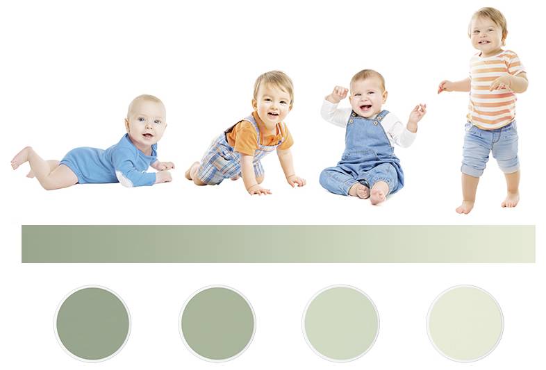 Čtyři miminka v různých polohách nad přechodovým pruhem a čtyři zelené vzorníky, pravděpodobně reprezentující vývojové etapy nebo témata růstu.