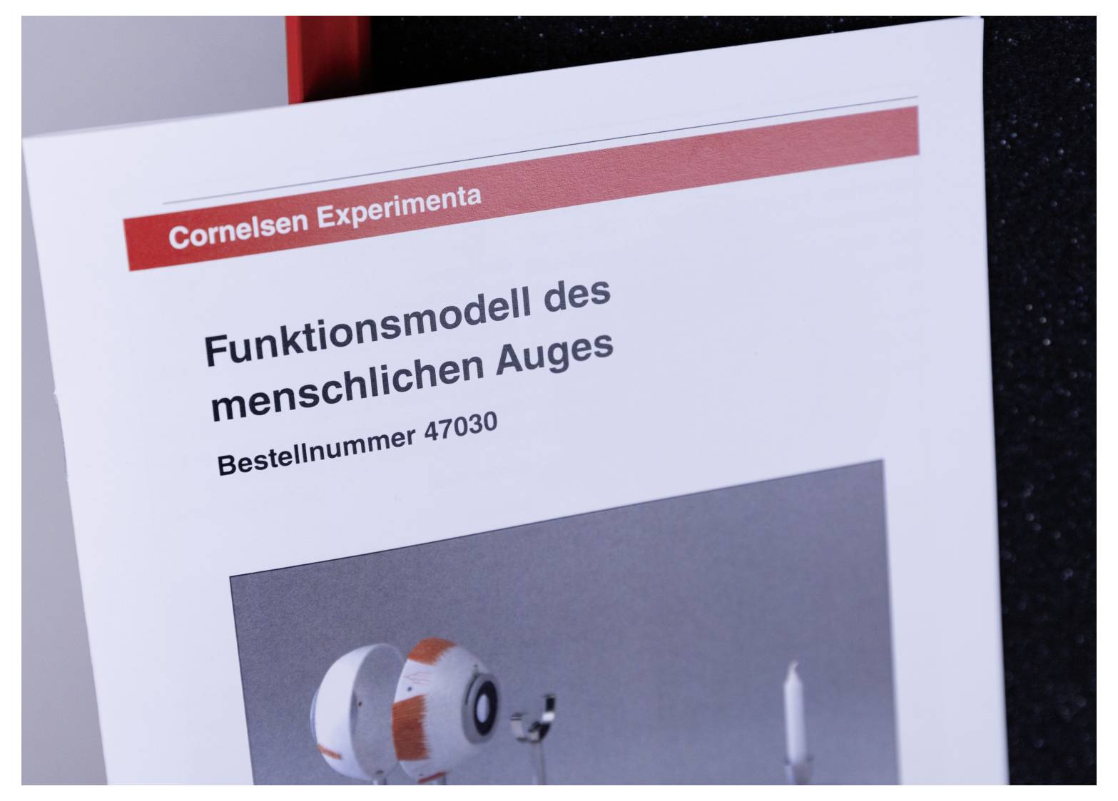 Cornelsen Experimenta 47030 Funkční model-3
