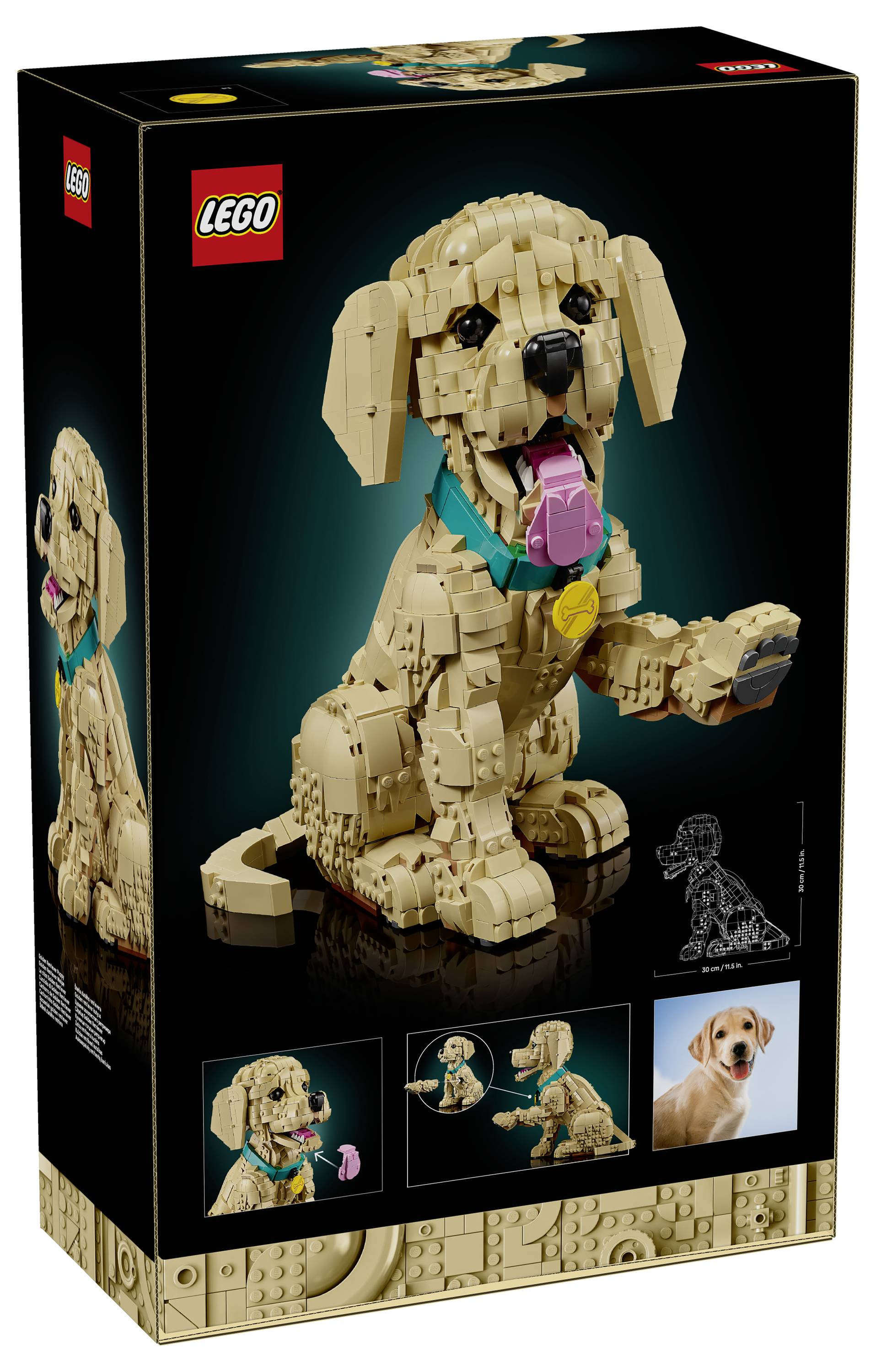 LEGO krabice zobrazující model světle hnědého psa s padavými ušima, oblečeného v modrozelené obojku a růžovém jmenovacím psím značku. Obsahuje obrázky modelu a skutečného psa.