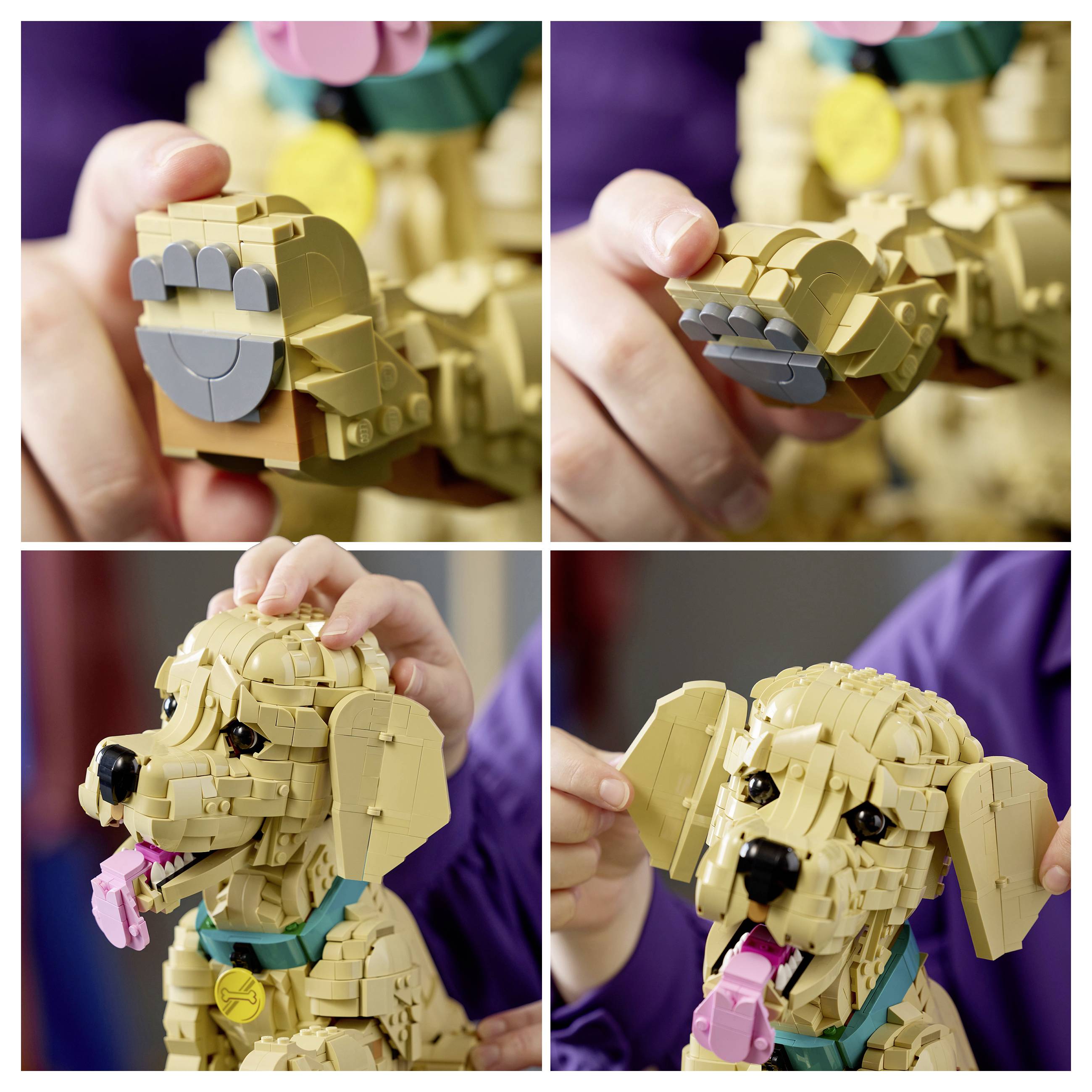 Osoba drží model LEGO znázorňující béžového psa s růžovým jazykem, modrým límcem a pohyblivými tlapami. Model je znázorněn z různých úhlů.