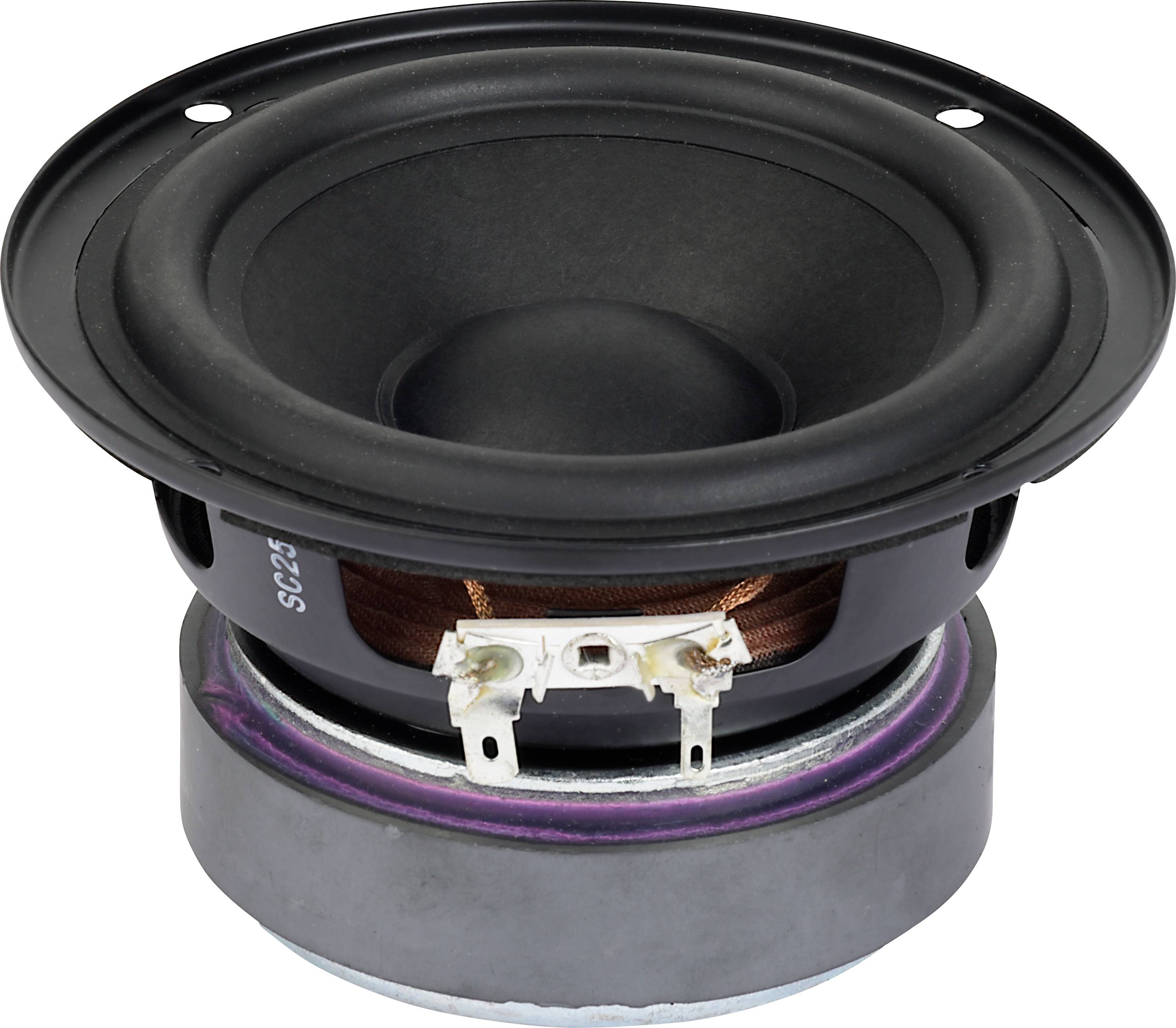 Detailní pohled na černý reproduktor s viditelným difuzorem, závěsem a magnetem, ilustrující součásti audio zařízení.