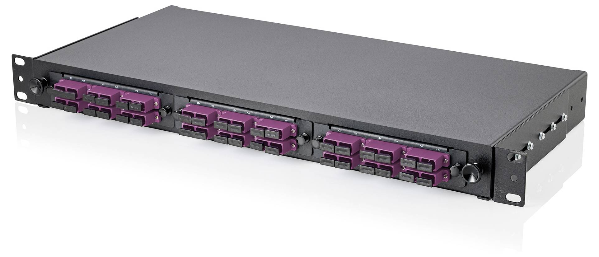Černý síťový přepínač s více fialovými porty na přední straně, navržený pro montáž do serverového racku.