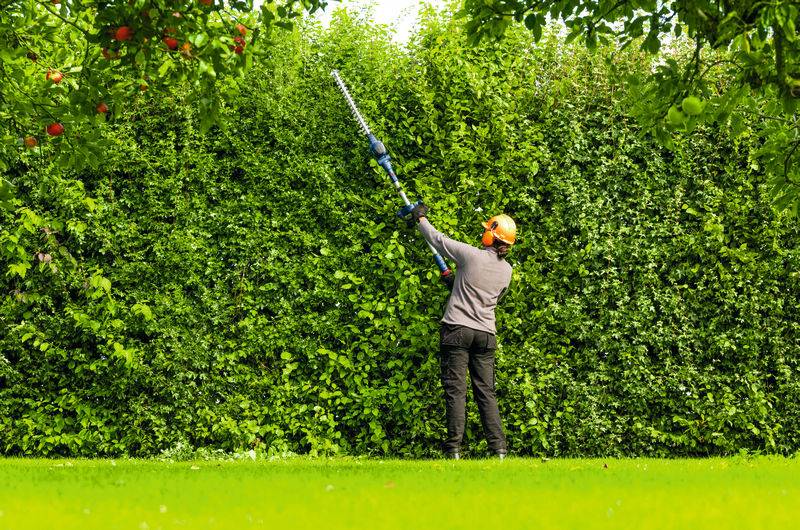 Bosch Professional GHE18V-50FP akumulátor Akumulátorový teleskopický plotostříh bez akumulátoru 18 V-4