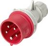 Sygonix SY-7481478 CEE zástrčka, 16 A, 5pólová, 400 V/AC, 1 ks
