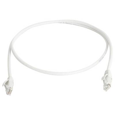Bílý ethernetový síťový kabel s konektory RJ45 na obou koncích, zobrazený stočený na jednobarevném pozadí.
