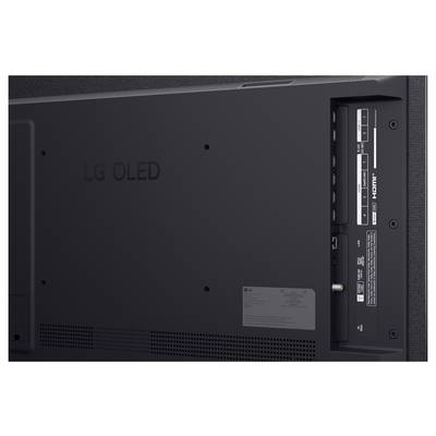 Zadní strana OLED televize LG s panelem vstupů a porty, včetně otvorů pro upevnění.
