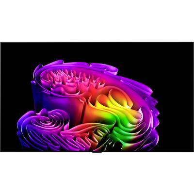 Abstraktní barevný 3D pás připomínající vír na černém pozadí s vrstvitými duhovými přechody tvořícími květinu nebo spirálu.