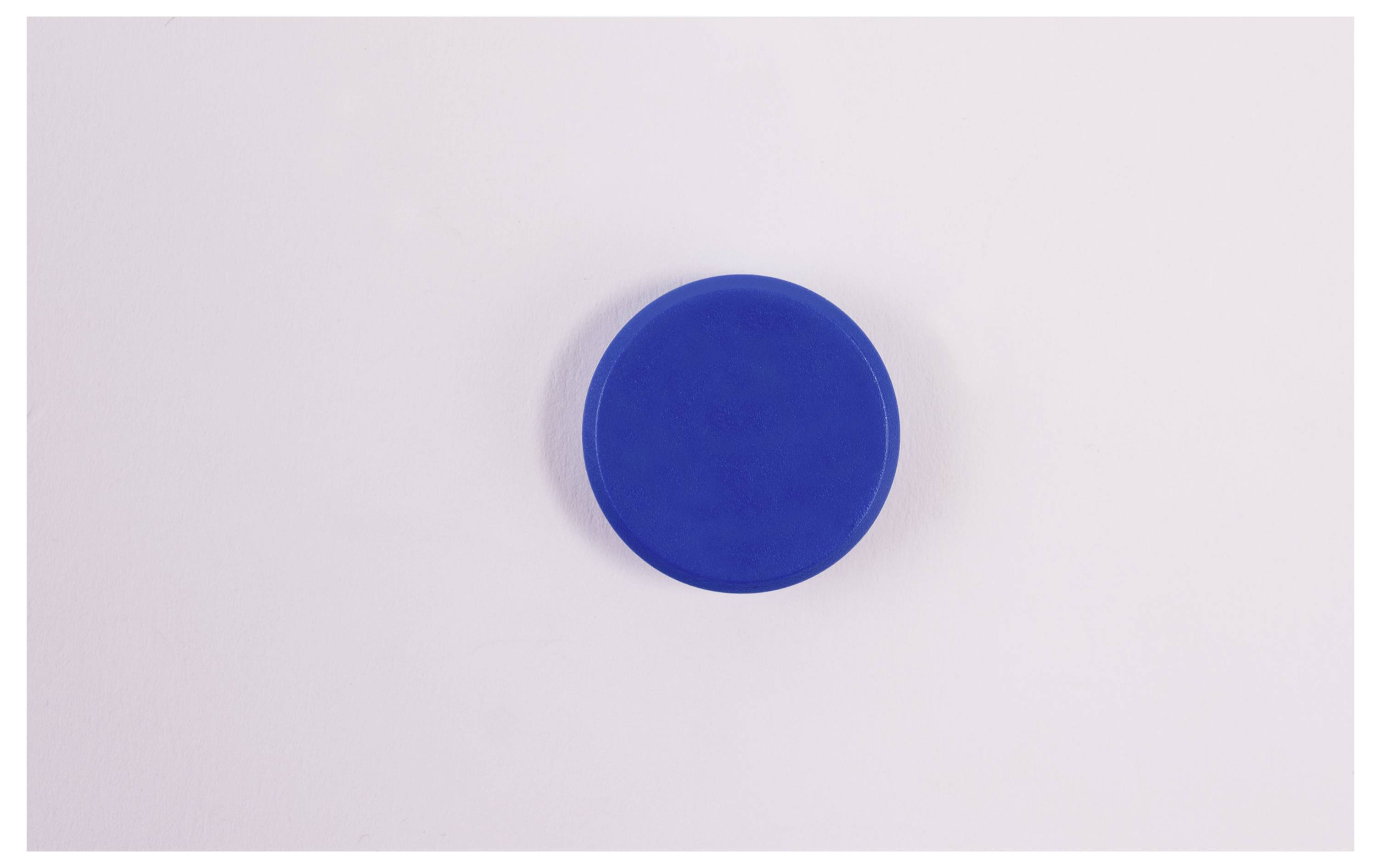 magnetoplan magnet Basic Serie (Ø) 24 mm kulatý modrá 10 ks 1862403-1