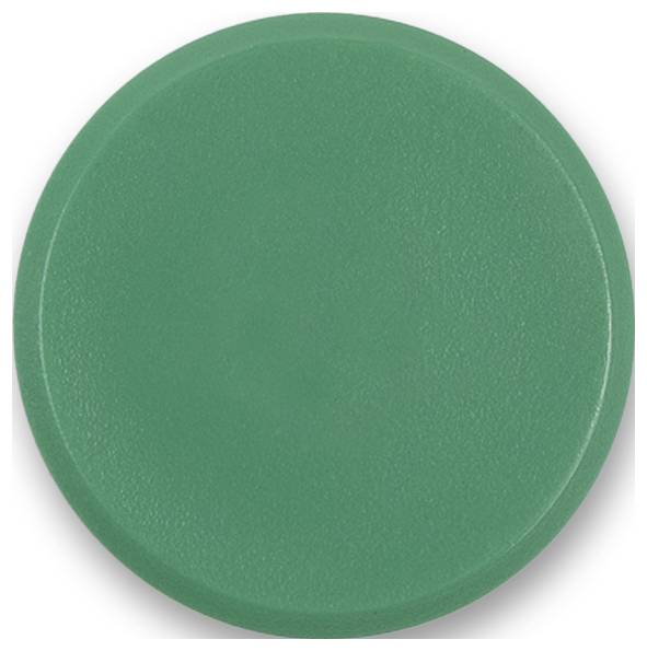 magnetoplan magnet Basic Serie (Ø) 24 mm kulatý zelená 10 ks 1862405-1