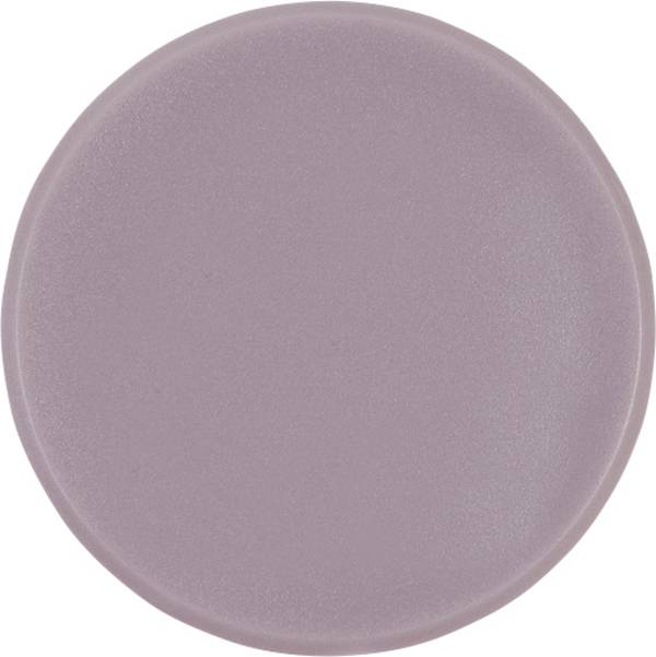 magnetoplan magnet Basic Serie (Ø) 38 mm kulatý šedá 10 ks 1863801