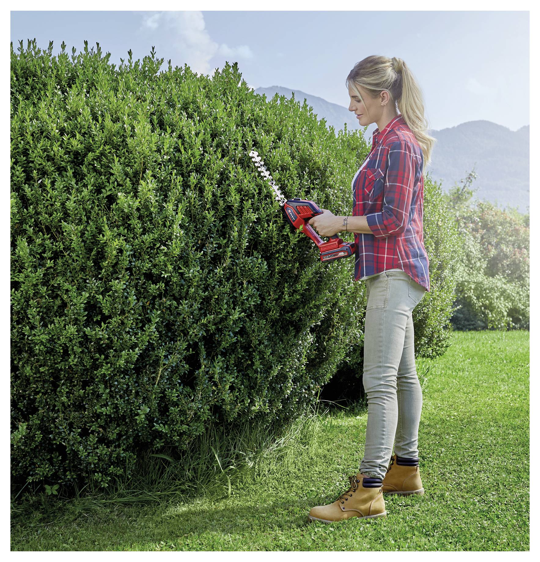 Žena stříhající velký živý plot s červeným elektrickým stříhačem na živé ploty na slunečné zahradě.