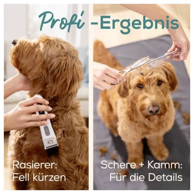 Beurer Beurer PP 110 Fluffy Fellschneider zastřihávač pro zvířata bílá, šedá 1 ks-6