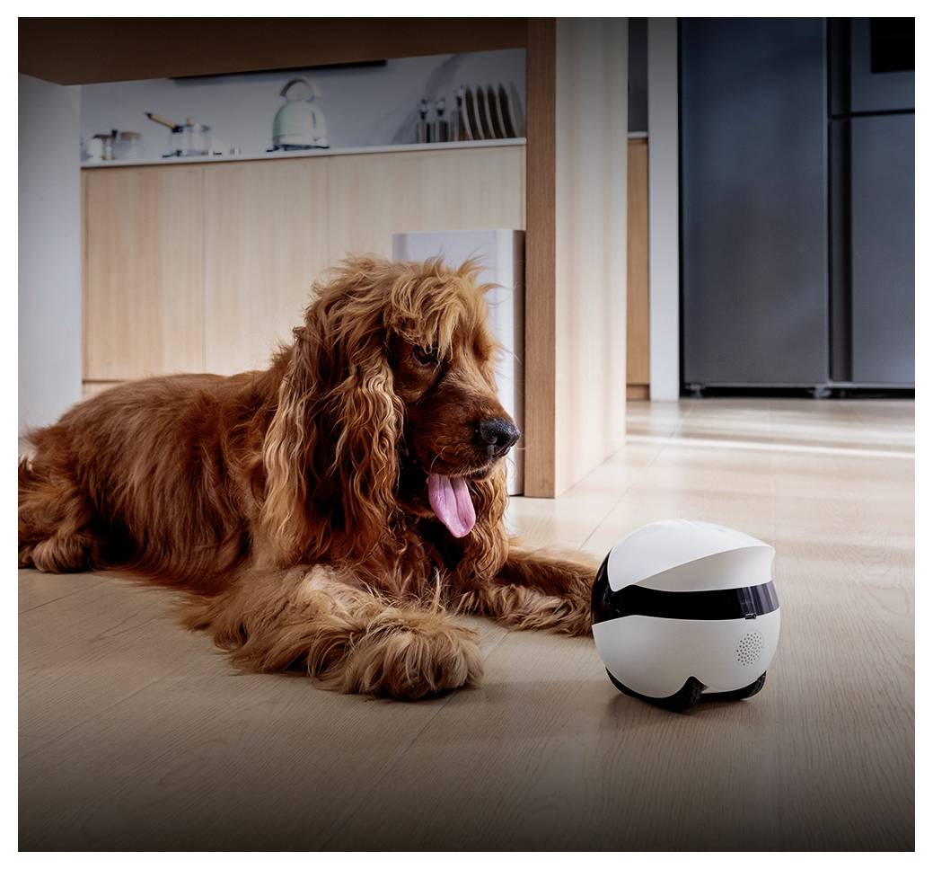 EnaBot Enabot EBO Air 2 Plus Haustier- roboter robotické domácí zvířátko bílá, černá 1 ks-9