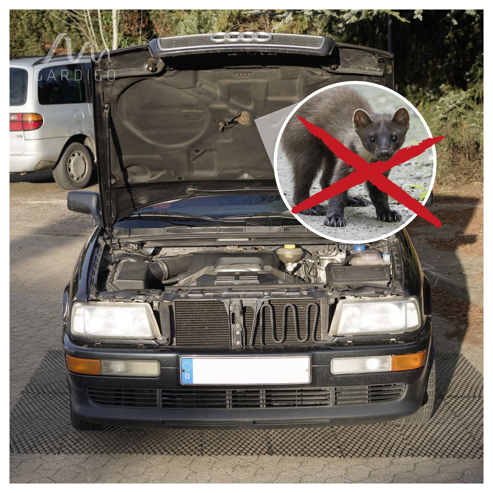 Černé auto s otevřenou kapotou a viditelným motorem, s překrytem přeškrtnutého divoké zvířete, varující před zásahem zvířat pod kapotou.