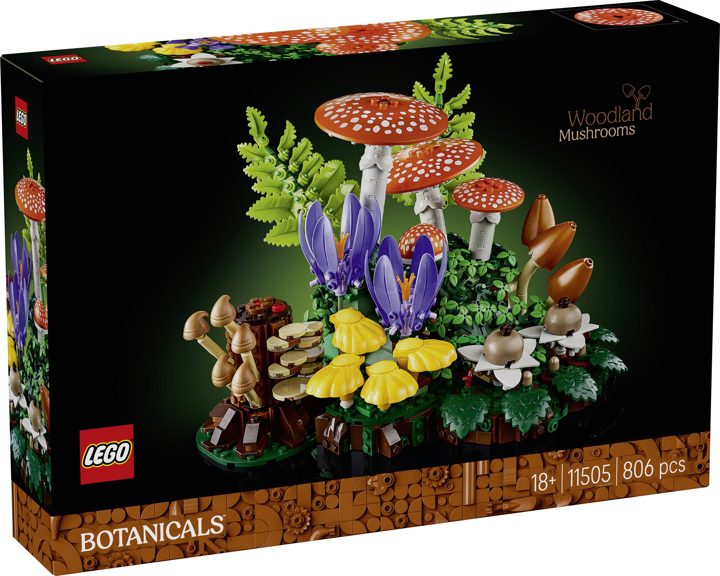 Krabice sady LEGO Botanicals „Lesní houby" zobrazující stavbu 18+ barevných hub a rostlin, 806 dílů.