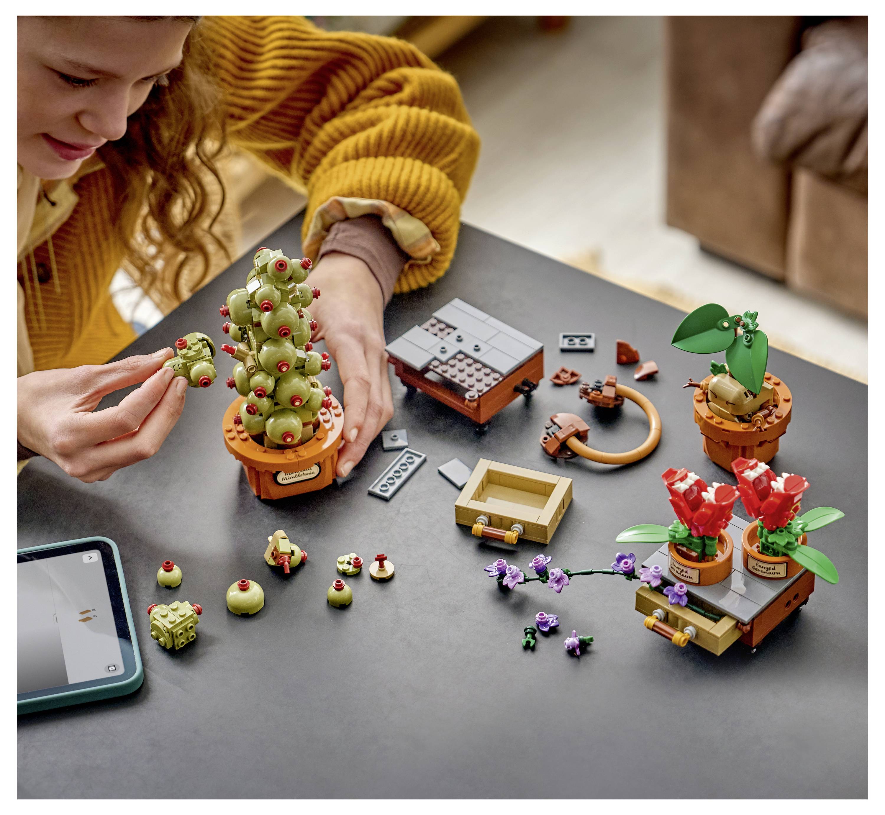 Dítě si na stole staví bonsaj zahradu ve stylu LEGO, kde skládá malé stromky v květináčích a květiny z jednotlivých dílků, přičemž poblíž leží tablet.