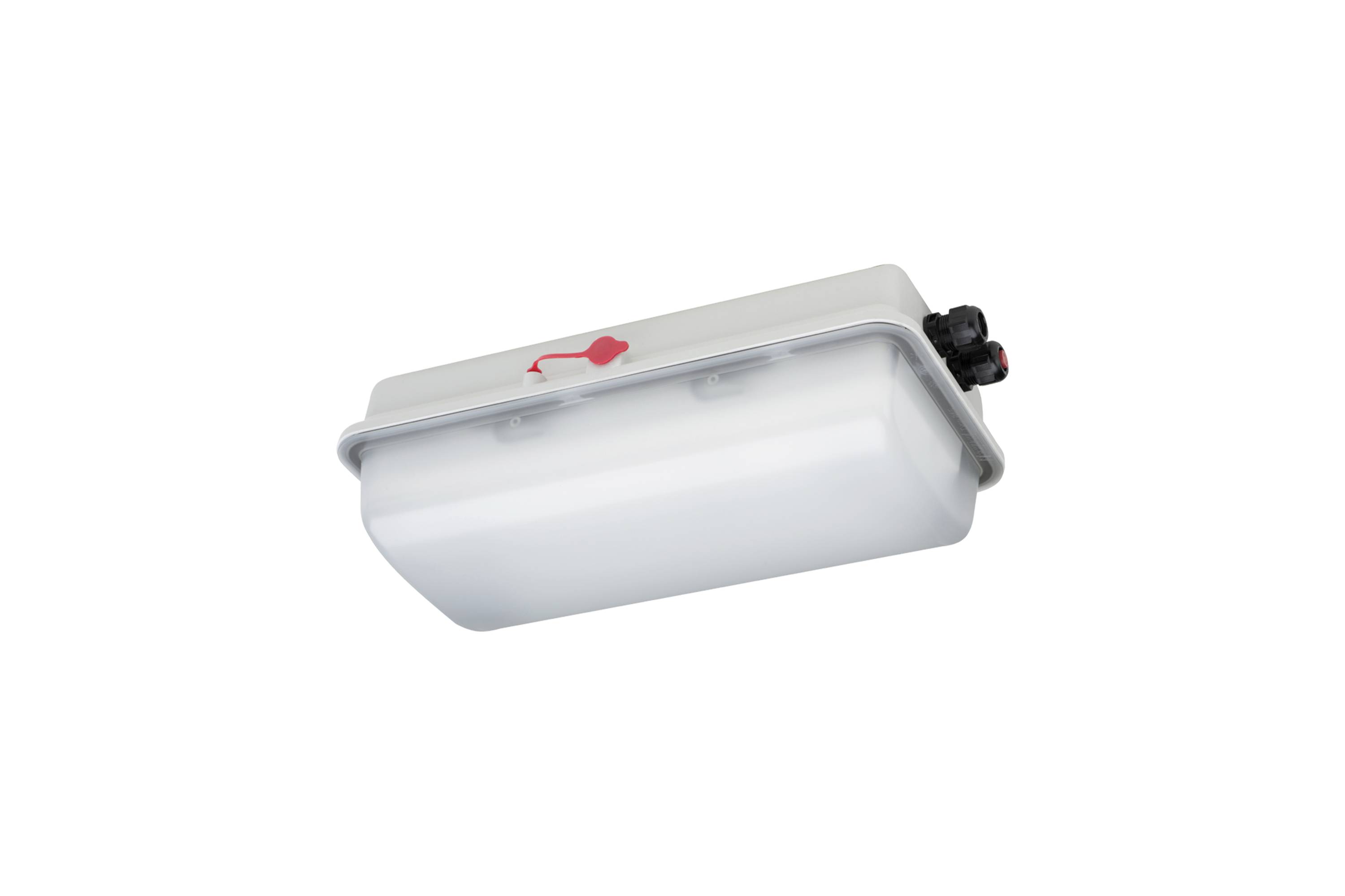 Schuch e855F L20 LED světlo do vlhkých prostor LED 18 W bílá-0