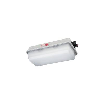 Schuch e855F L20 LED světlo do vlhkých prostor LED 18 W bílá-0