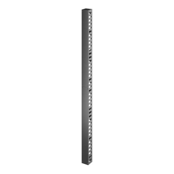 APC APC Easy Rack Vertical Cable Manager 42U Easy Rack