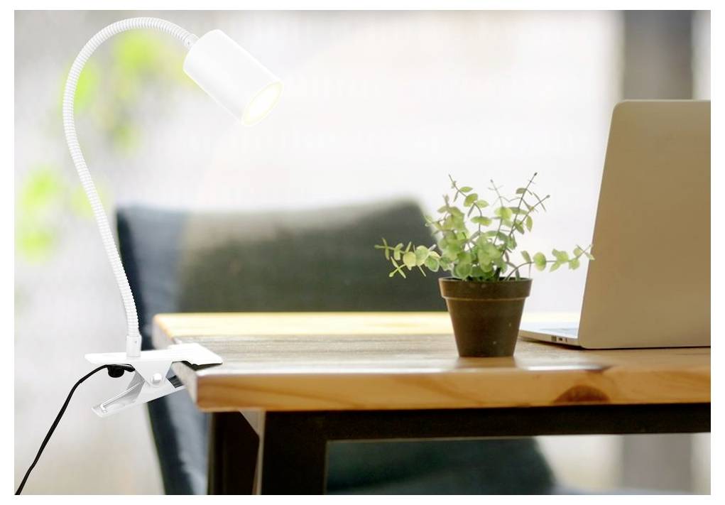 Malá stolní lampa upevněná na dřevěný stůl vedle květináče a otevřeného notebooku v jasné domácí kanceláři.