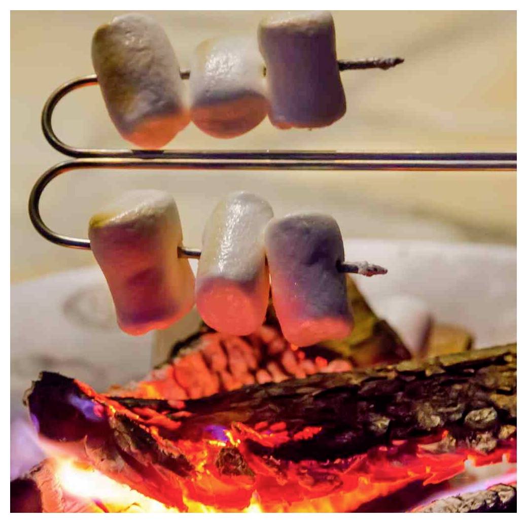 Marshmallové cukroví pražící se na kovových tyčích nad žhavicími se uhlíky táboráku, s ohořelým dřevem pod nimi.