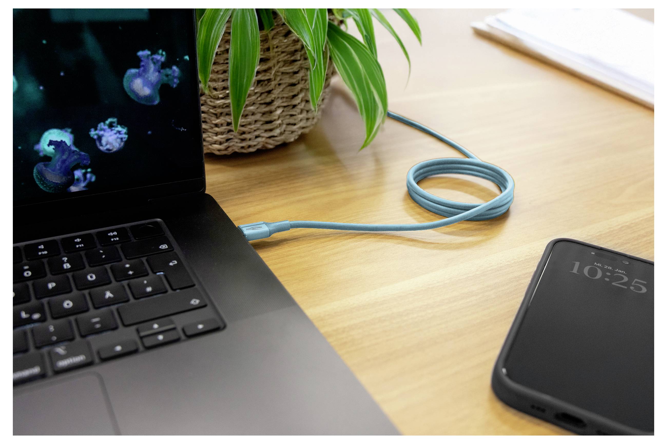Laptop připojený modrým nabíjecím kabelem na dřevěném stole, vedle něj smartphone a v pozadí pokojová rostlina v květináči.