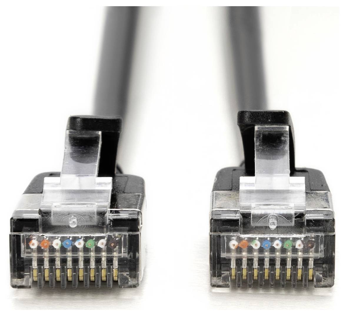Dva konektory ethernetového kabelu zobrazené vedle sebe, s čirými plastovými konektory a viditelnými zlatými kontakty na bílém pozadí.
