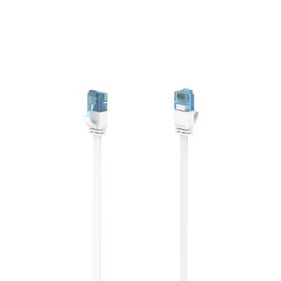 Dva bílé ethernetové kabely s modrými RJ45 konektory zobrazené vedle sebe na jednoduchém bílém pozadí.