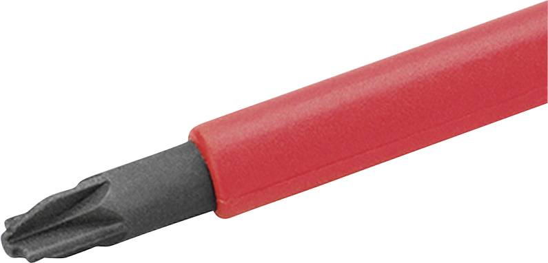 Detailní záběr červeně-rukojetí vrtáčku s černým hvězdicovitým Torx špičkou na bílém pozadí.