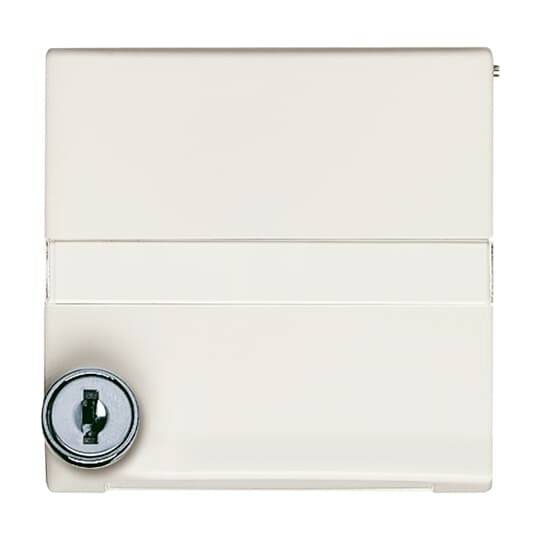 Busch-Jaeger Paladium 2CKA001710A3791 1 ks