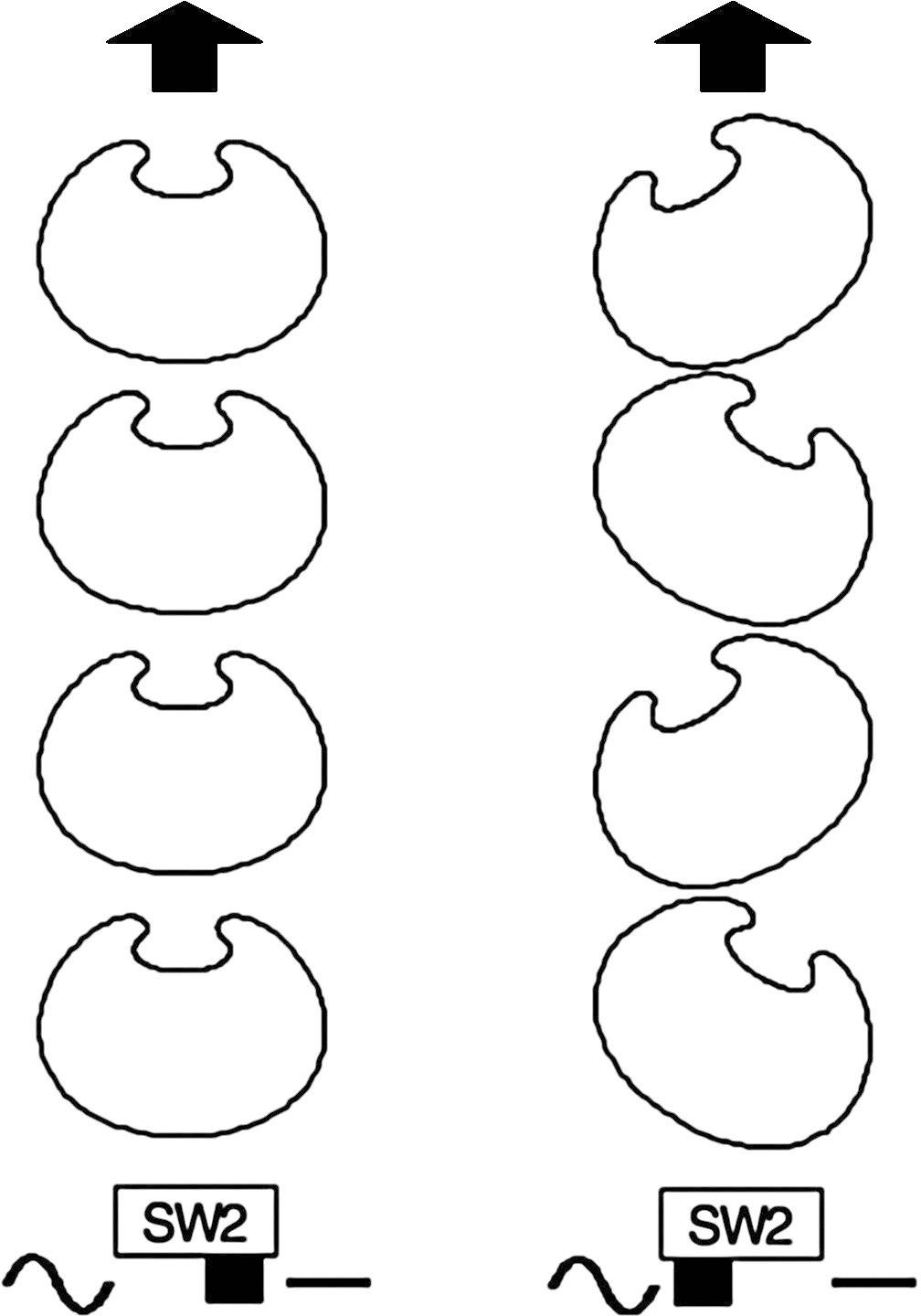 Diagram znázorňuje dva sloupce se schematickými tvary pohybujícími se nahoru. Dole je označení 'SW2'. Pohyb je vyznačen šipkami.