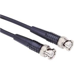 Testec 81021 BNC měřicí kabel 1.00 m černá
