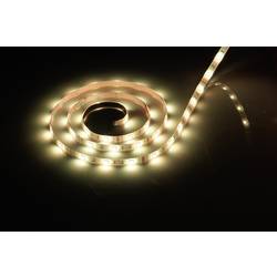 LED pásek, 168050, 5 m, teplá bílá
