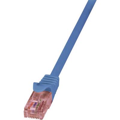 Modrý síťový kabel s průhlednou koncovkou, uvnitř jsou viditelné barevné vodiče.