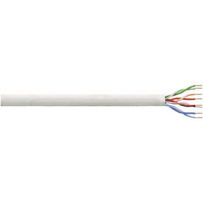 Bílý síťový kabel s částečně odizolovanými barevnými vodiči na konci, který se používá pro přenos dat.