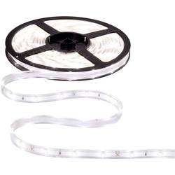 LED pásek Paulmann WaterLED, 5 m, bílá (70418)