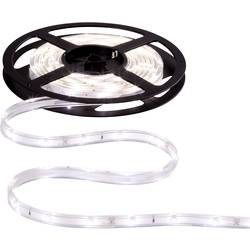 LED pásek Paulmann WaterLED, 3 m (70419)