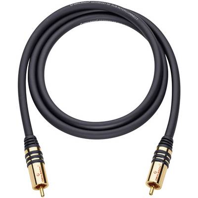 Černý cinch kabel se zlatými konektory na obou koncích, vhodný pro audio připojení.