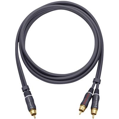 Audiokabel se dvěma cinch konektory na každém konci, vhodné pro stereo připojení. Kabel je černý se zlatými kontakty.