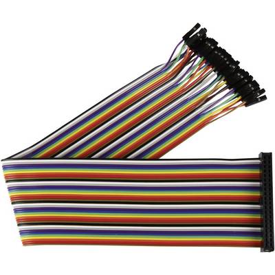 Plochý vícebarevný kabel s mnoha barevnými vodiči a konektory na koncích.