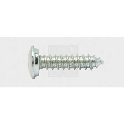 SWG 103481325 šrouby do nástěnných štítků 4.8 mm 13 mm křížová drážka Philips ocel pozinkované 100 ks
