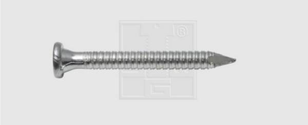 SWG  68511909070 kotevní hřebík  (Ø x d) 4 mm x 60 mm ocel pozinkované 250 ks
