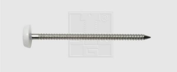 SWG  9841255030 hřebíky s plastovou hlavou (Ø x d) 2.5 mm x 50 mm nerezová ocel A4 80 ks