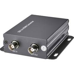 AV konvertor ⇒ HDMI zásuvka SpeaKa Professional SP-SD/HD-01 SP-4923216