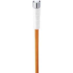 Připojovací kabel pro senzory Belden WRKMV 3-520/2M 934729001