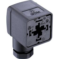 Ventilová zástrčka GDM2106 Belden 934888100 GDM2106, počet pólů:2 + PE, černá, 1 ks